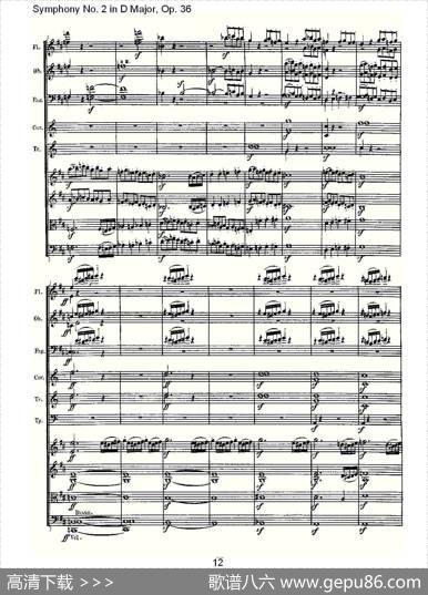 SymphonyNo.2inDMajor,Op.36（D大调第二交响曲Op.3）