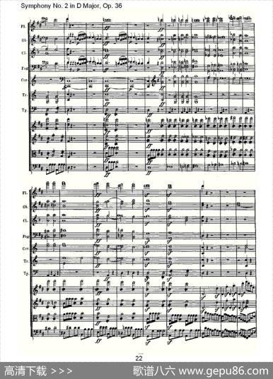 SymphonyNo.2inDMajor,Op.36（D大调第二交响曲Op.3）