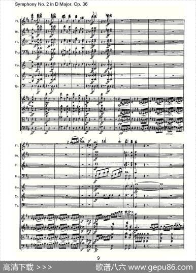 SymphonyNo.2inDMajor,Op.36（D大调第二交响曲Op.3）