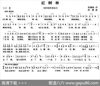红树林 - 张清蚀|林海
