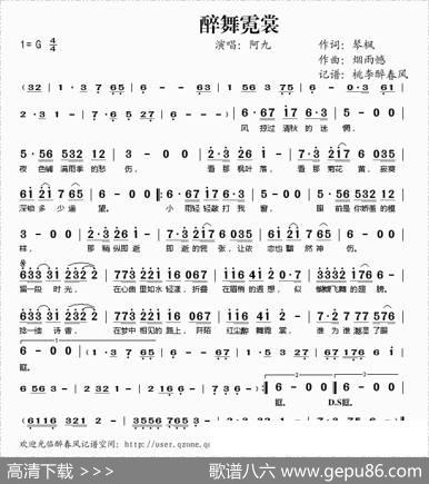 醉舞霓裳 - 琴枫