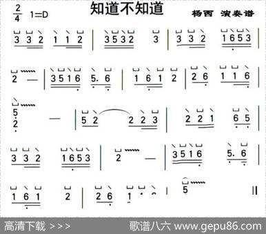 知道不知道（杨西演奏版）