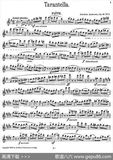 Tarantelle（Op.55No.8）|[丹麦]安德森