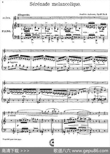 Serenademelancolique（Op.57No.2）（长笛+钢琴伴奏）|[丹麦]安德森