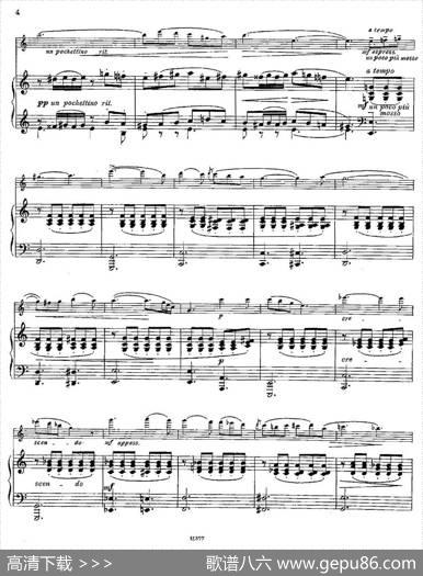 Serenademelancolique（Op.57No.2）（长笛+钢琴伴奏）|[丹麦]安德森