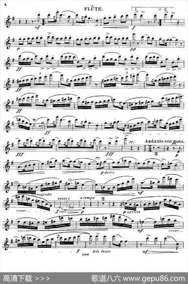 Fantaisiesnationales.Suedois.（Op.59No.4）|[丹麦]安德森