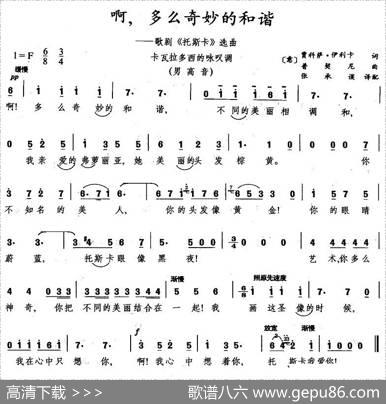 啊，多么奇妙的和谐（意）