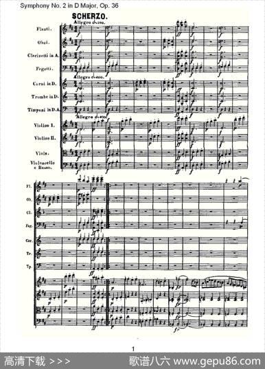 SymphonyNo.2inDMajor,Op.36（D大调第二交响曲Op.36)）