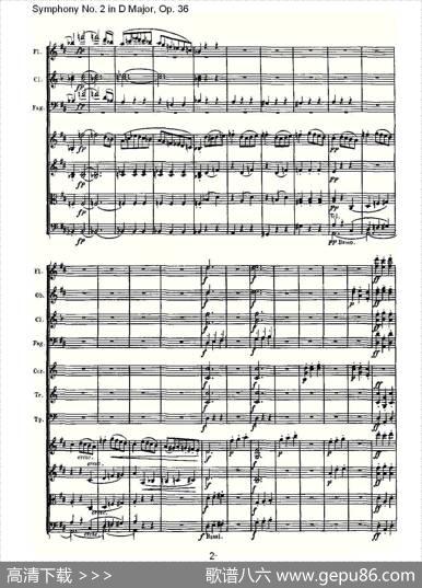 SymphonyNo.2inDMajor,Op.36（D大调第二交响曲Op.36)）