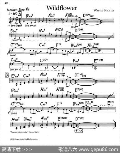 Wildflower（爵士钢琴曲）