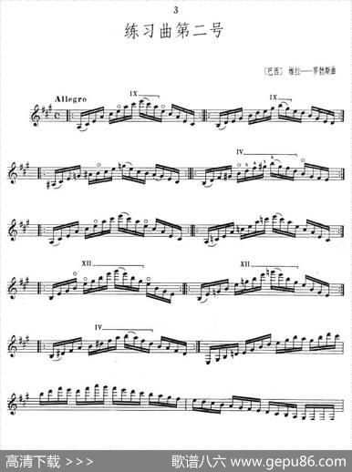 练习曲第二号（古典吉他）|[巴西]维拉·罗勃斯