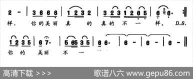 太阳照耀雪山上（又名：太阳照耀在雪山上） - 施翔|多吉
