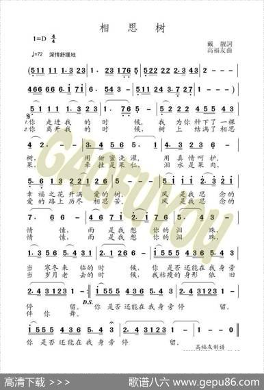 相思树 - 戴靓|高福友