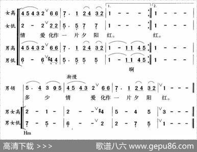 夕阳红（同名电视栏目主题歌、彭幼卿编合唱版） - 乔羽|张丕基