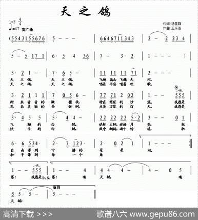 天之鸽 - 杨显群|王东音