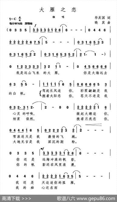 大雁之恋 - 华友国|晓其