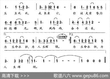 生命的旋律（献给白衣天使） - 辛衍涛|程恺
