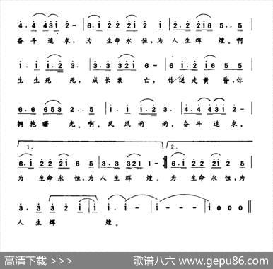 生命的旋律（献给白衣天使） - 辛衍涛|程恺