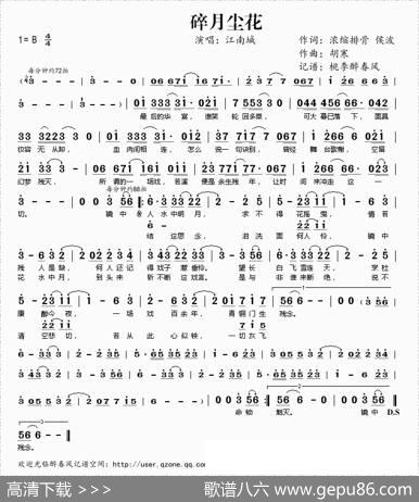 碎月尘花 - 浓缩排骨侯波|胡寒