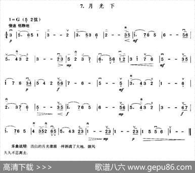 月光下