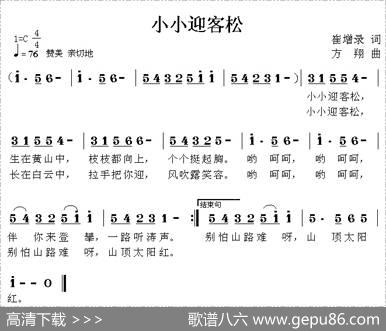 小小迎客松 - 崔增录|方翔