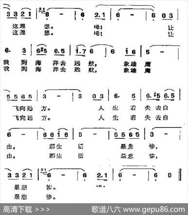 [美、秘]雄鹰之歌|林蔡冰译配