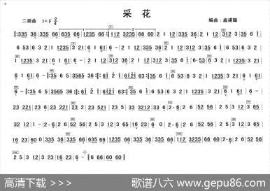采花（二胡+民乐队伴奏主旋律谱）|卢建聪