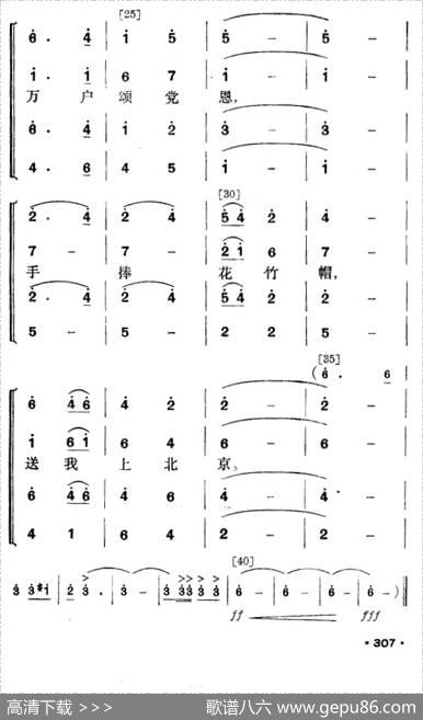 花竹帽献北京（毛难族舞蹈）