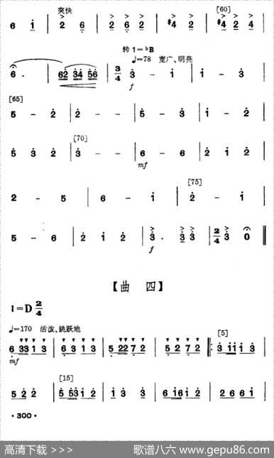 花竹帽献北京（毛难族舞蹈）