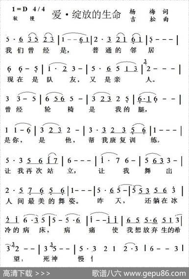 爱·绽放的生命 - 杨梅|吉松
