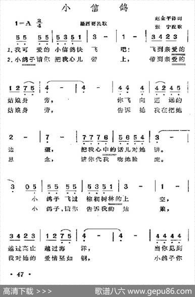 [墨西哥]小信鸽 - 赵金平译词|张宁配歌