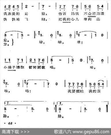 [墨西哥]小信鸽 - 赵金平译词|张宁配歌
