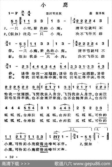 [墨西哥]小鹰|盛茵译配