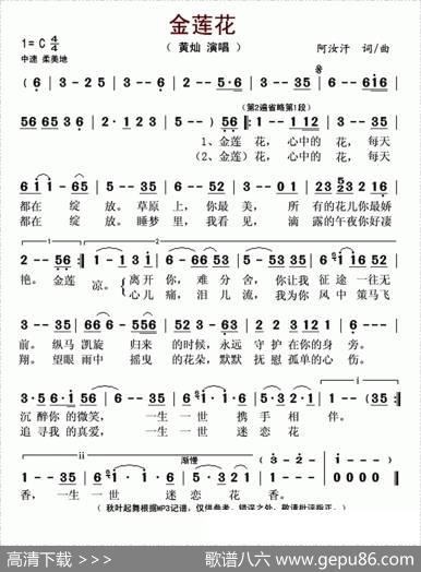 金莲花 - 阿汝汗|阿汝汗