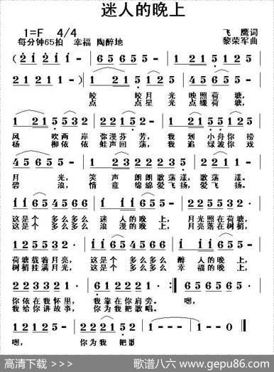 迷人的晚上 - 飞鹰|黎荣军