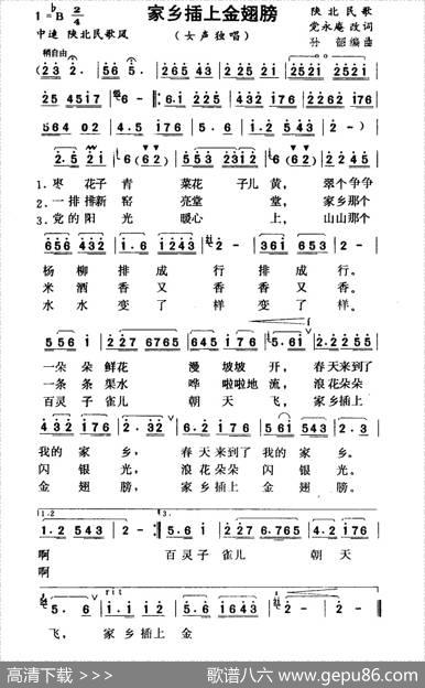 家乡插上金翅膀 - 党永庵改词|孙韶编曲