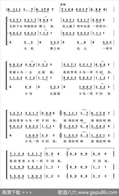 青春舞曲(亦弛改编）（三部合唱） - 王洛宾词曲|亦弛改编