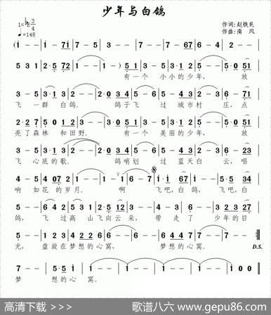 少年与白鸽 - 赵铁民|南风
