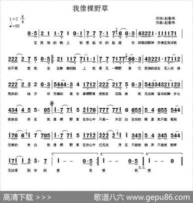 我像棵野草 - 赵春伟|赵春伟