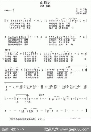 向阳花（汪峰词曲） - 汪峰|汪峰