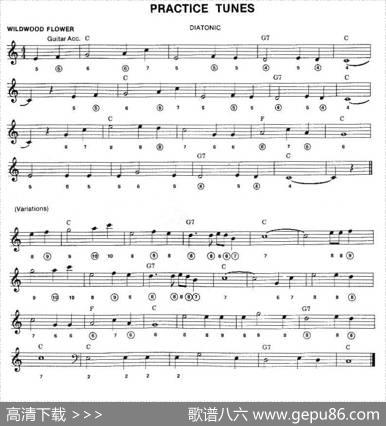 PRACTICETUNES（布鲁斯入门初级乐曲2首、五线谱）