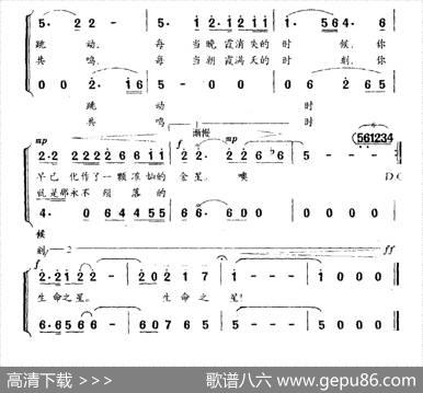 生命之星（献给孔繁森和他的亲人们） - 李红林|王焱