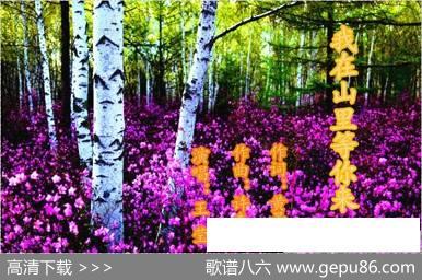 我在山里等你来 - 黄景南|许森林