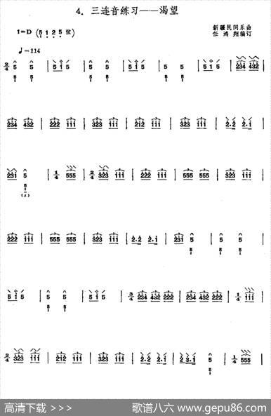 琵琶三连音练习：渴望|新疆民间乐曲、任鸿翔编订