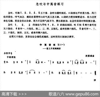 笛子急吹与中高音练习