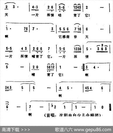 迟开的小春花 - 张名河|晓丹
