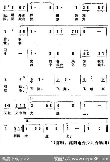 飞翔吧年轻的雄鹰 - 张名河|成敦