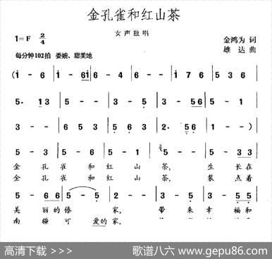 金孔雀和红山茶 - 金鸿为|雄达