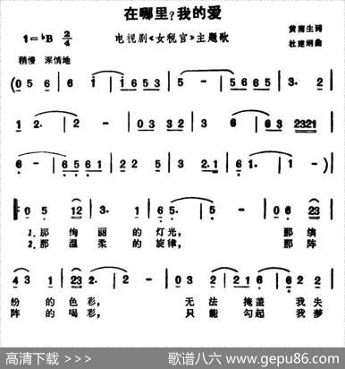在哪里？我的爱（电视剧《女税官》主题歌） - 黄蒲生|杜建纲