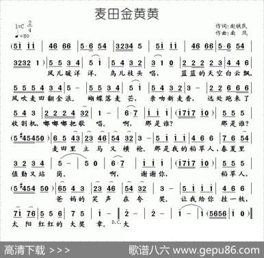 麦田金黄黄 - 赵铁民|南风